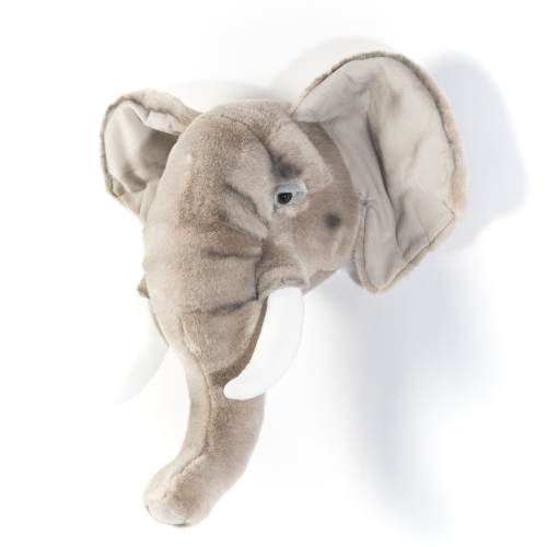 Tierkopf Trophäe Elefant George