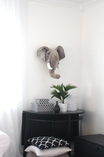 Tierkopf Trophäe Elefant George