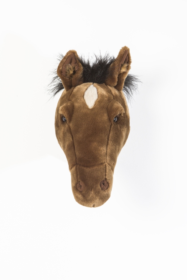 Tierkopf Trophäe Pferd Scarlett