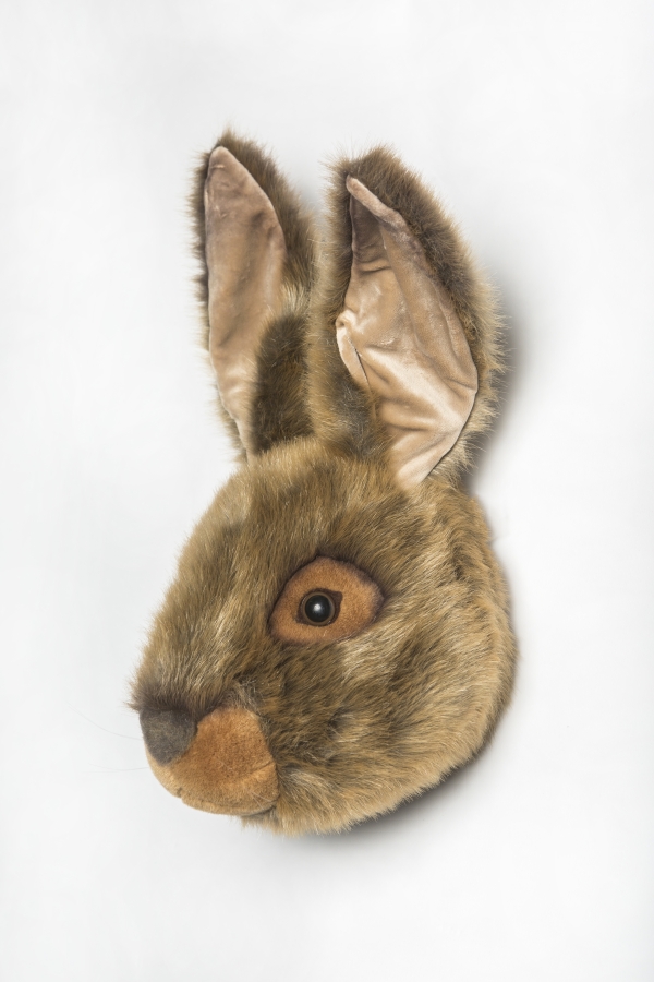 Tierkopf Trophäe Hase Lewis