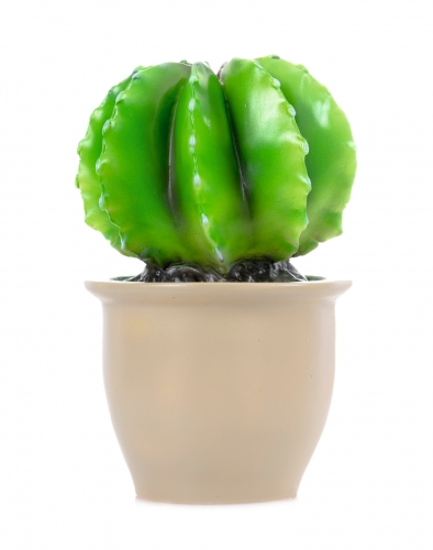 Lampe Kaktus rund