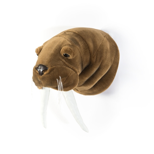 Tierkopf Trophäe Walross Jacob