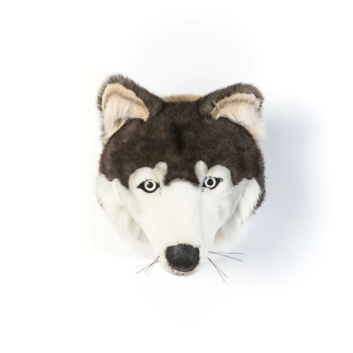Tierkopf Trophäe Wolf Martin