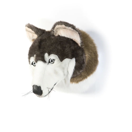 Tierkopf Trophäe Wolf Martin