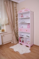 Bücherregal Kutsche