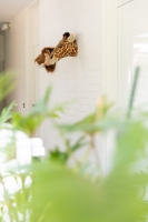 Tierkopf Trophäe Nashorn Michael