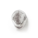 Tierkopf Trophäe Hai Jack