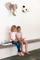 Tierkopf Trophäe Esel Francis