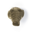 Tierkopf Trophäe Krokodil Frank