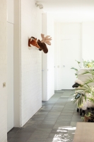 Tierkopf Trophäe Fuchs Louis