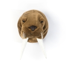 Tierkopf Trophäe Walross Jacob