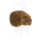 Tierkopf Trophäe Walross Jacob