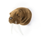 Tierkopf Trophäe Walross Jacob