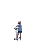 Wild&Soft Scooter / City Roller Tierkopf Bär