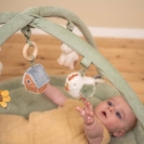 Little Dutch Spielbogen Little Farm