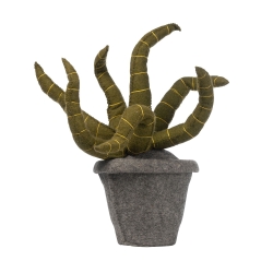 Kidsdepot Pflanze Filz Sanseveria grn